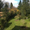 Photo 8: Garden view from your bedroom 