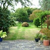 Photo 3: Garden