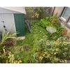 Photo 7: front garden