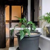 Photo 6: Entrance to second floor rooms
