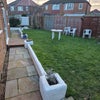 Photo 6: Back Garden