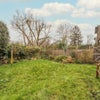 Photo 5: Shared garden