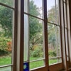 Photo 9: window to back garden