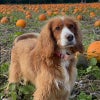 Photograph of Chloe