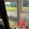 Photo 7: View from the room for rent