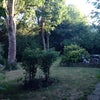 Photo 6: Communal Garden