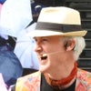 Photograph of martin