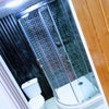 Photo 8: Modern spacious ensuite bathrooms!