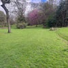 Photo 3: garden