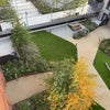 Photo 7: Garden
