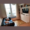 Photo 5: Living area
