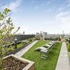 Photo 7: Roof Garden 1