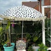Photo 5: Garden