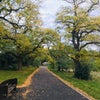 Photo 9: Arnos  park