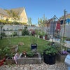 Photo 3: A wider view of the garden