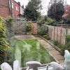 Photo 3: Garden