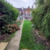 Photo 4: Garden 