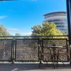 Photo 6: Balcony