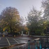 Photo 9: Georgian gardens immediately opposite