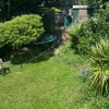 Photo 9: Garden