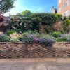 Photo 3: Attractive mature garden