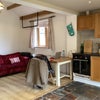 Photo 3: Room plus kitchen area