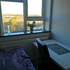 Photo 3: DOUBLE BEDROOM WINDOW 