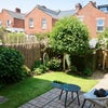 Photo 7: garden