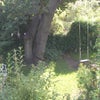 Photo 6: Communal Gardens