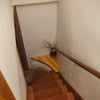 Photo 8: stairs to the basement
