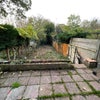 Photo 12: AMAZING SHARED GARDEN