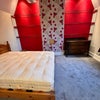 Photo 6: New carpet 