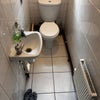 Photo 7: toilet 