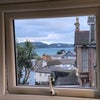 Photo 4: View from bedroom window