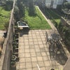 Photo 2: Garden