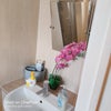 Photo 5: Attached small ensuite - for Brushing and Shaving 