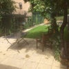 Photo 5: Garden