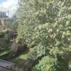 Photo 3: Stunning Garden Views 