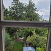 Photo 6: view from single room