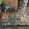 Photo 14: Back yard