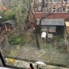 Photo 8: View of garden (its nicer in summer)