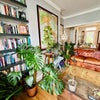 Photo 7: Living room