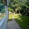 Photo 9: Lovelly sunny garden