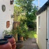 Photo 9: View from Kitchen