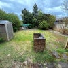 Photo 9: Back garden 