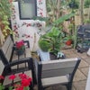 Photo 3: Garden