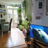 Photo 4: Other end of lounge
