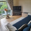 Photo 8: Living room