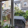 Photo 6: Garden