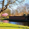 Photo 2: Valentines Park